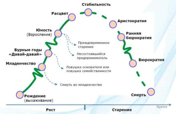 Жизненный цикл автомобильной дороги